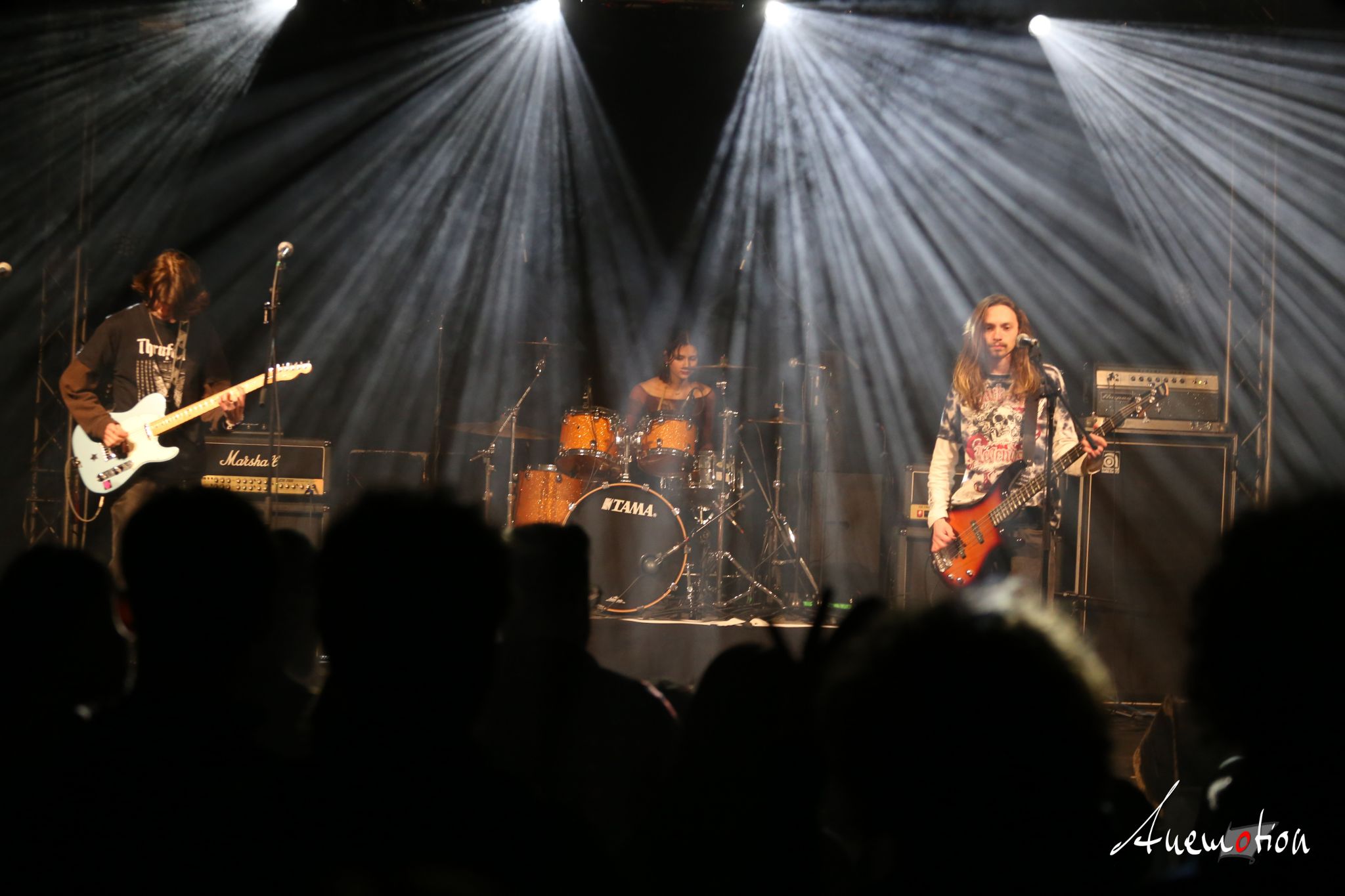 ElephantsFalling (2)